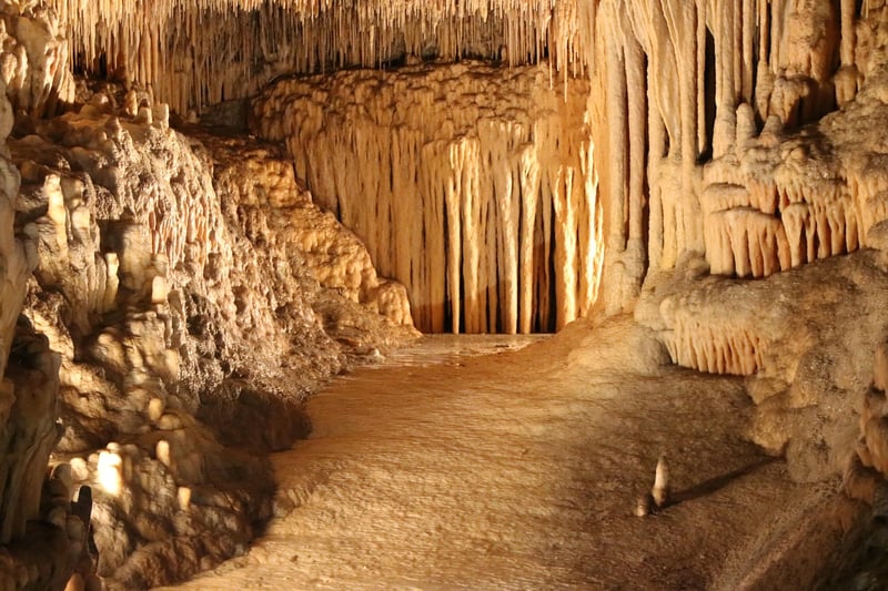 Waitomo Glowworm Caves, New Zealand